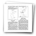 Despacho Normativo N.º 4/2004 que estabelece as regras a que deve obedecer a codificação dos preços das embalagens dos medicamentos