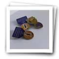 Pin das VI Jornadas Farmacêuticas Portuguesas