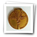 Medalha-pendente Sociedade Farmacêutica Lusitana/Ordem dos Farmacêuticos