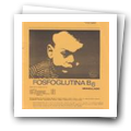 Folheto publicitário "Fosfoglutina B6 granulado"