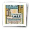 Folheto publicitário da especialidade farmacêutica “Glefina”