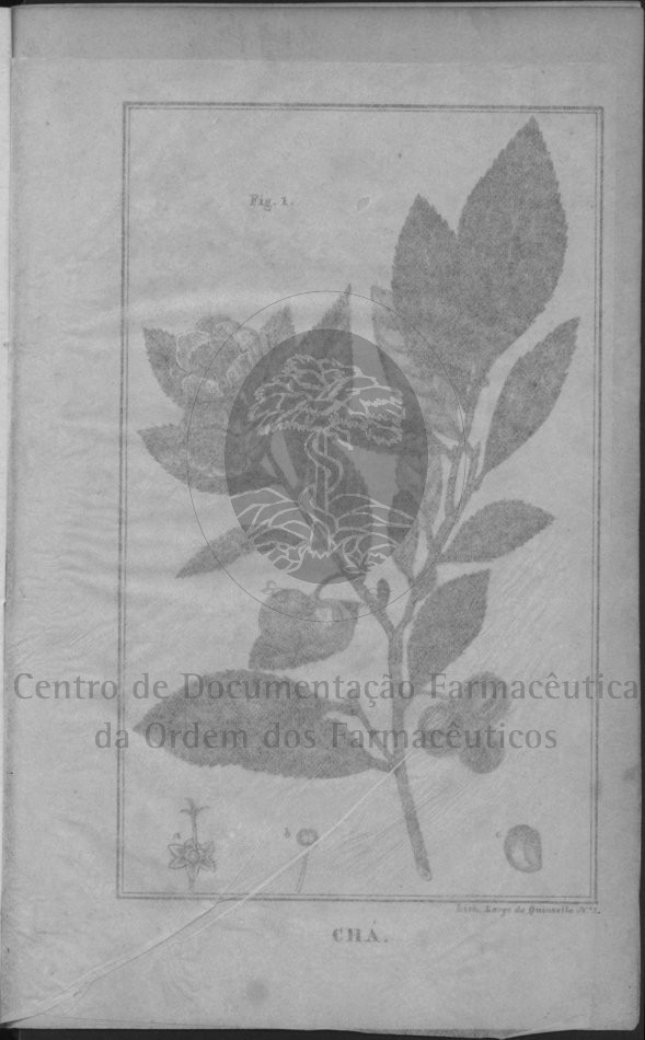 b [75 KB] 