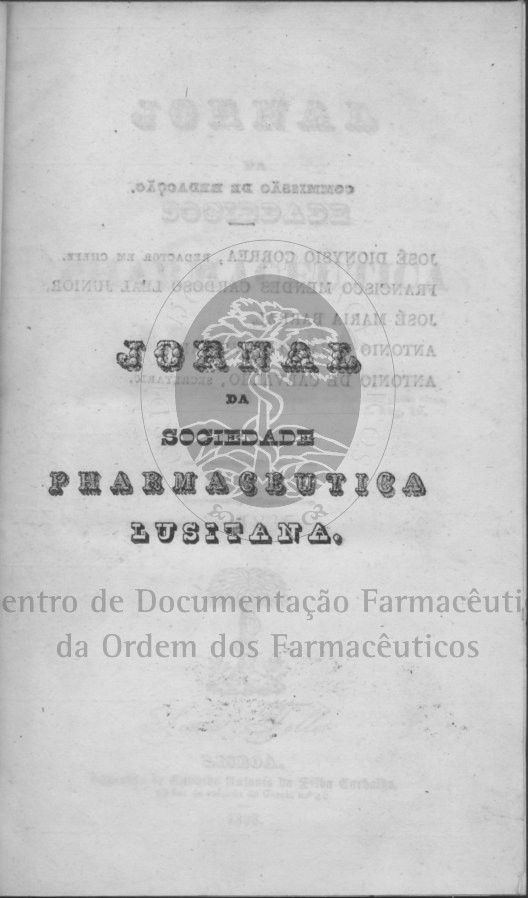 rosto [54 KB] 