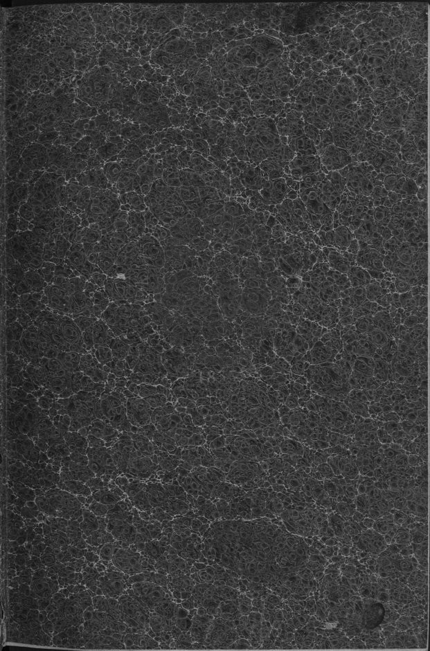 g [169 KB] 