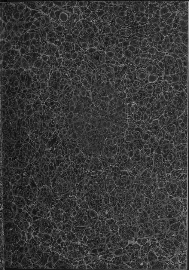 g [165 KB] 