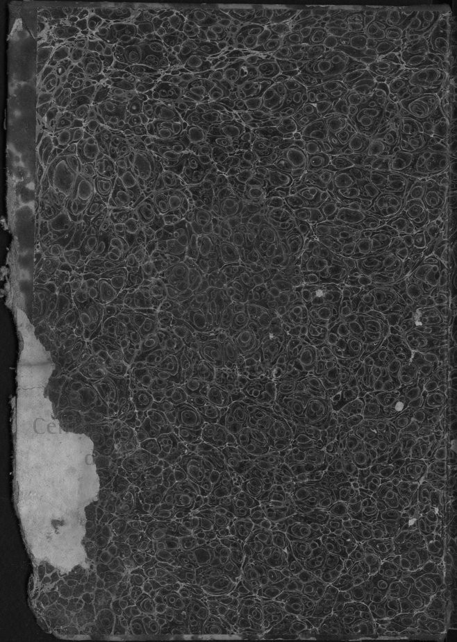g [168 KB] 