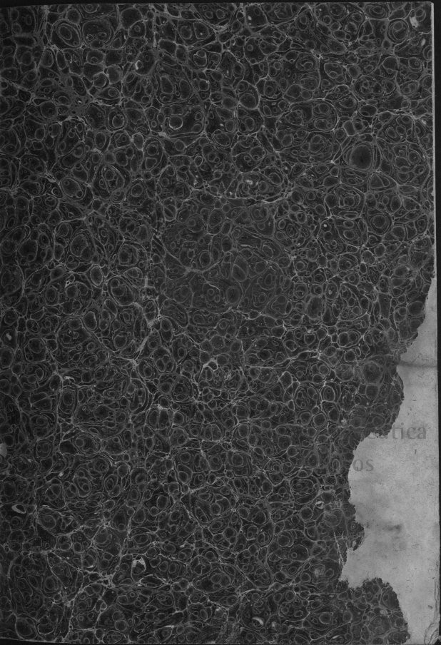 g [153 KB] 