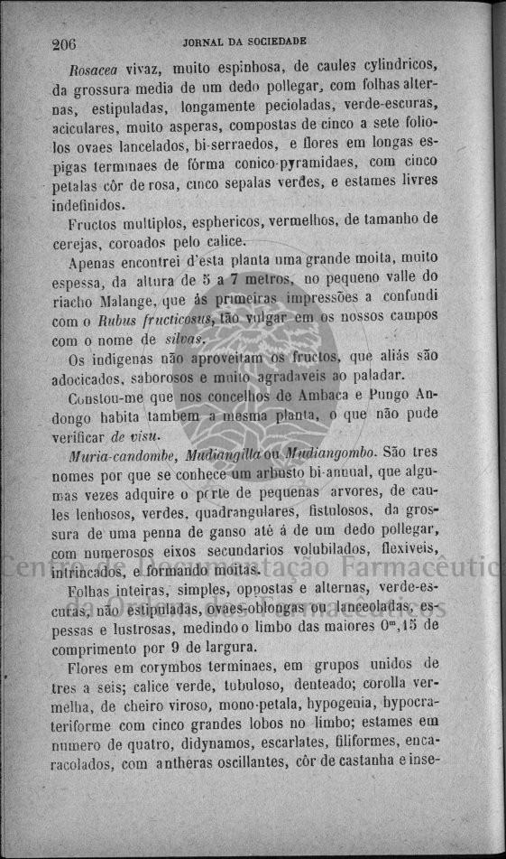 206 [161 KB] 