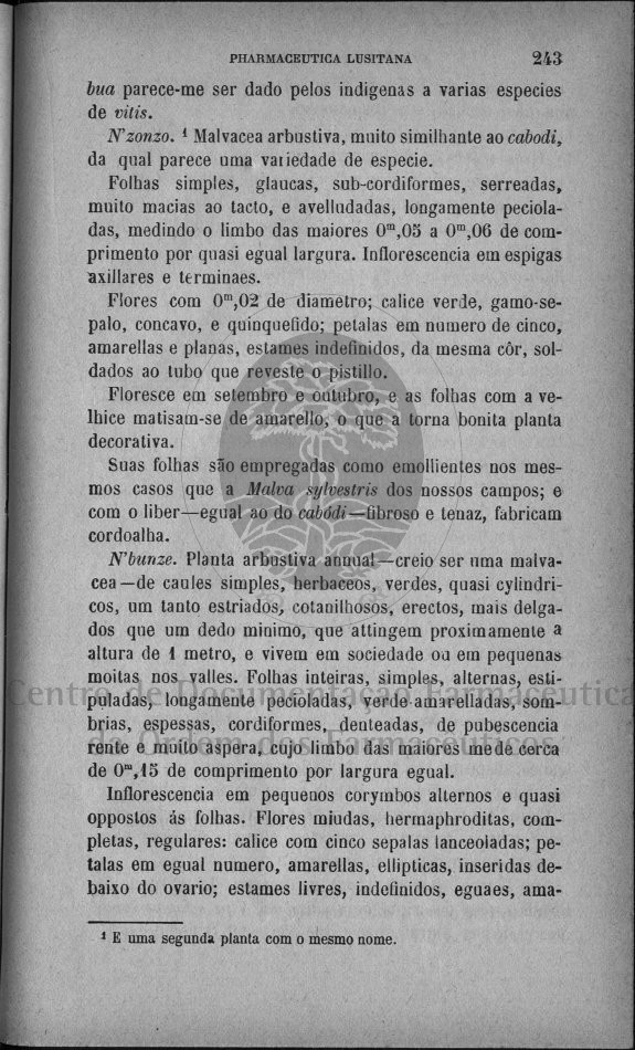 243 [156 KB] 
