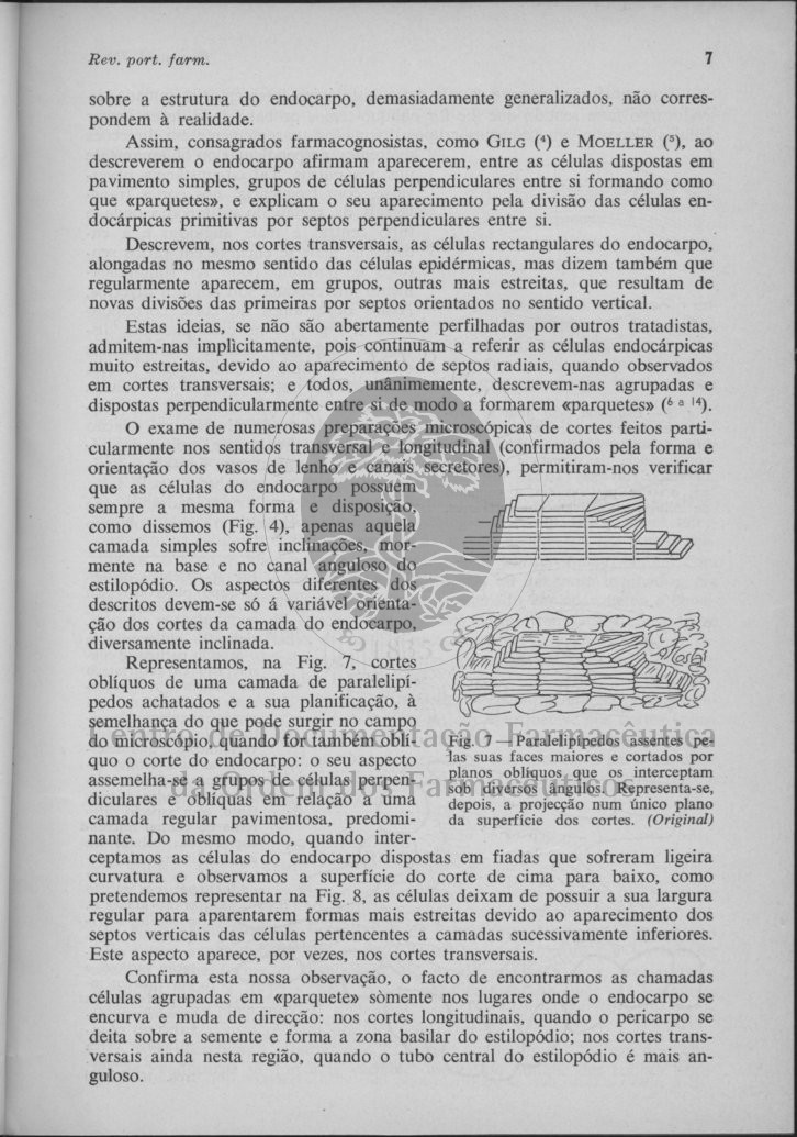 7 [191 KB] 